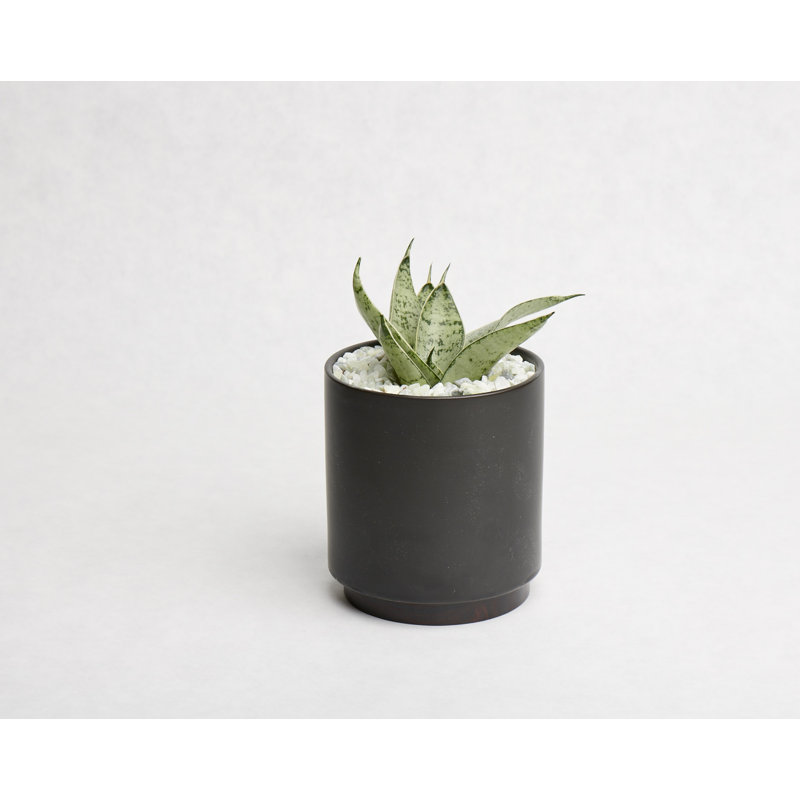 Pot à fleurs en grès Byer, Noir
