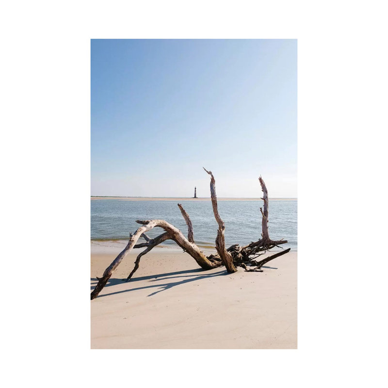 « Sullivan Island XIII » par Bethany Young, reproduction de photo, Toile tendue, H 12 po x l 8 po x P 0,75 po, Pas de tapis