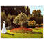 Woman In The Garden by Claude Monet - Wrapped Canvas Painting-445595074