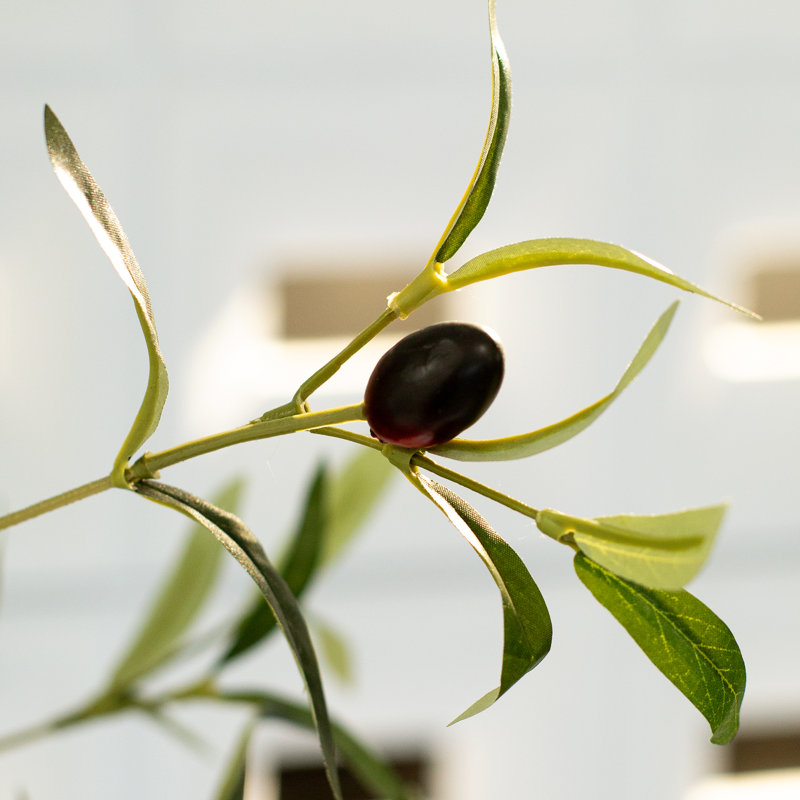 Olive artificielle en pot en plastique artificiel pour décoration intérieure, H 72 po x l 28 po x P 28 po
