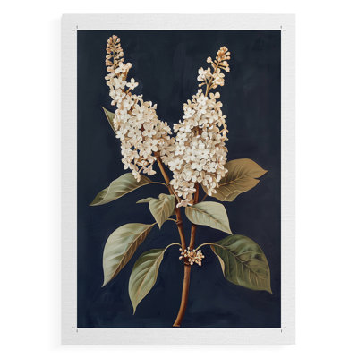 Série FLORAL CLVI - Impression sur toile seulement - NON CADRE