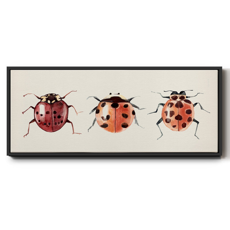 Coccinelle, H 20 po x l 50 po