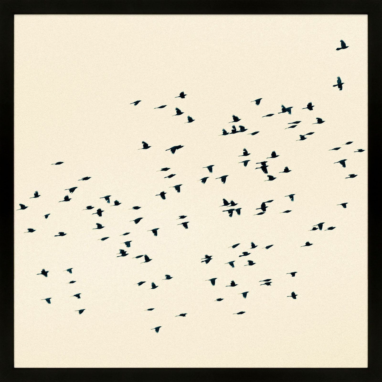 Soaring by Peter Dušek, Black, 30" H x 30" W x 1.25" D