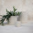 Cloudy Ceramic Pot Planter-66917644-48408628