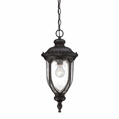 Fleur De Lis Living Angie Outdoor Hanging Lantern & Reviews | Wayfair