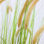Andin 120cm Plant