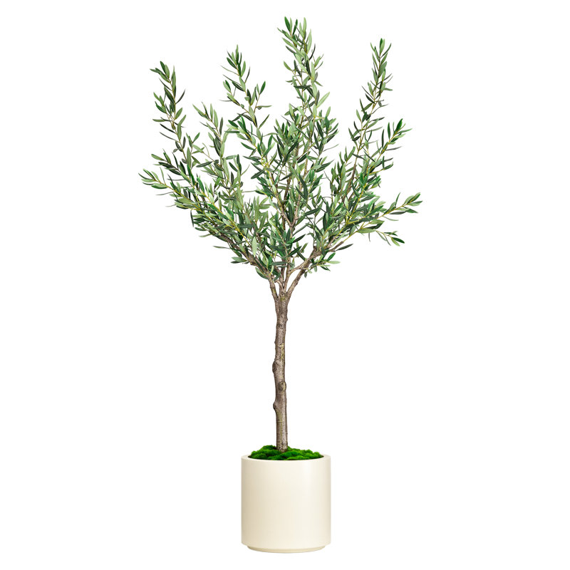 Artificial Olive Tree in White Decor Pot, 78.75" H x 41.25" W x 39.5" D