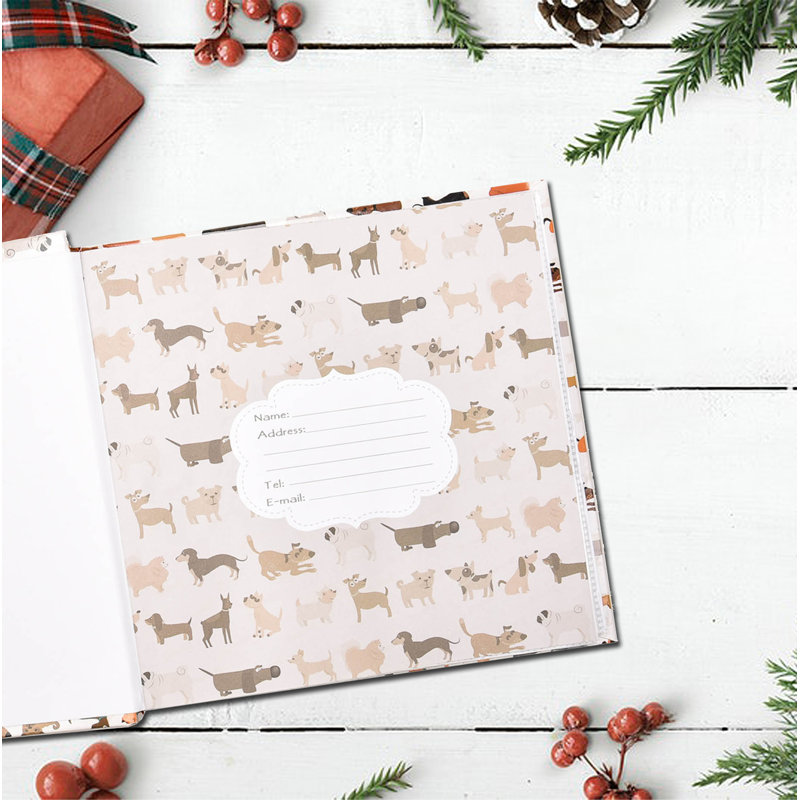 Paper Animals Album