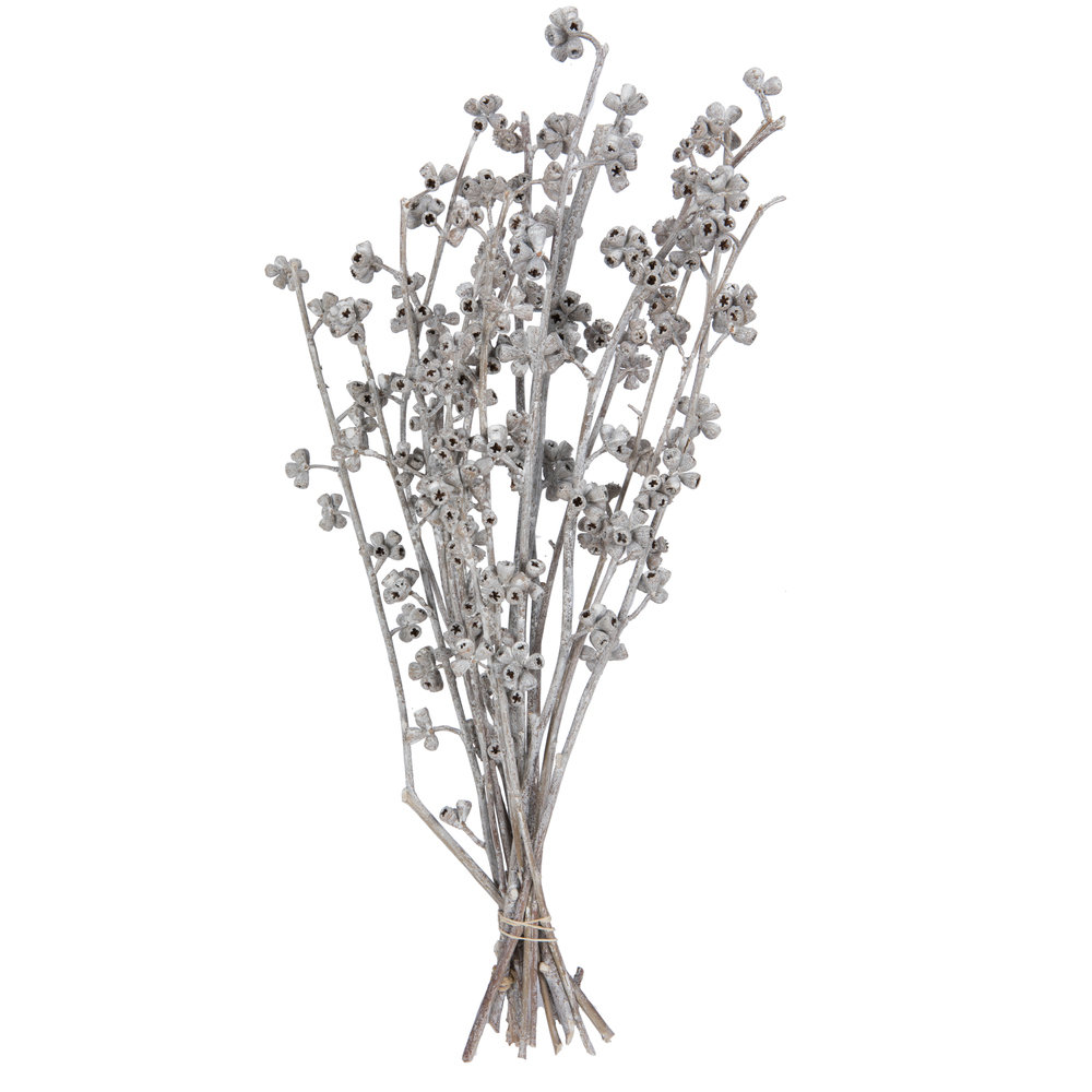 13'' Branch, White Wash