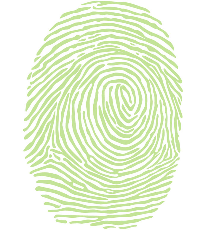 Décalcomanie murale à empreinte digitale, H 21 po x l 15 po x P 0,01 po, Tarte à la lime