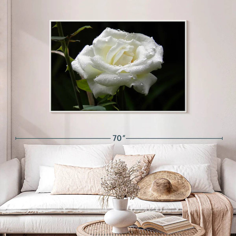 Gouttes de rosée sur rose blanche, 46 po x 31 po, Cadre flottant blanc