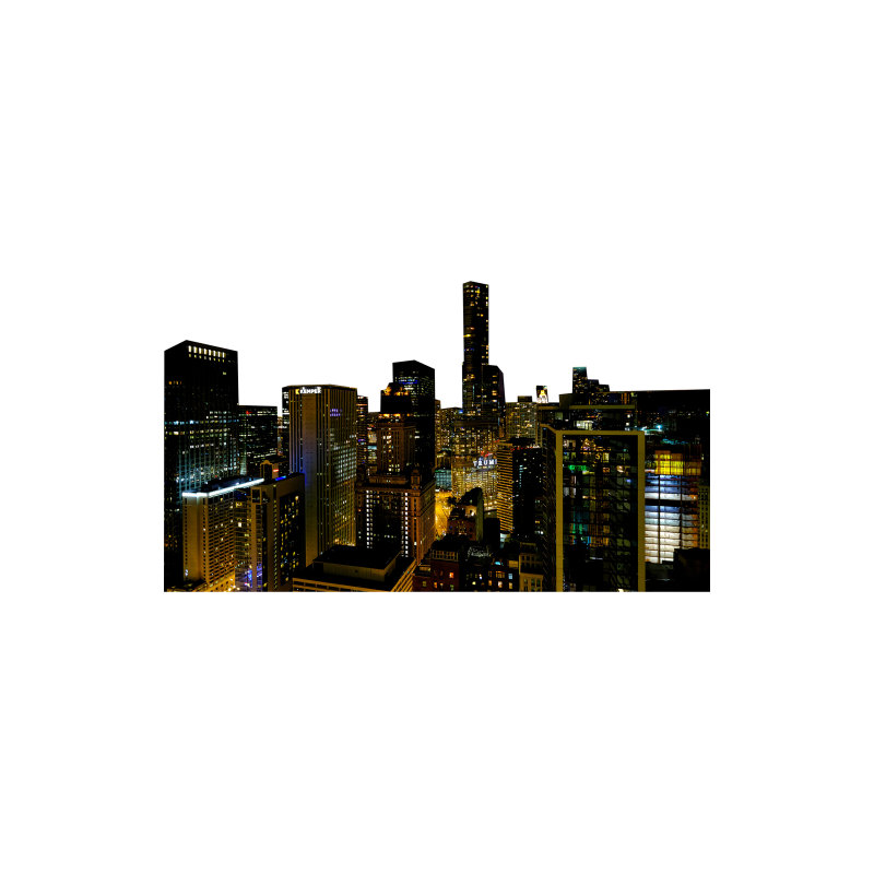 H13713 Chicago Nightline Skyline