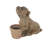 Cole And Grey 1 Piece Resin Textured Dog Planter With Antique Pot Set