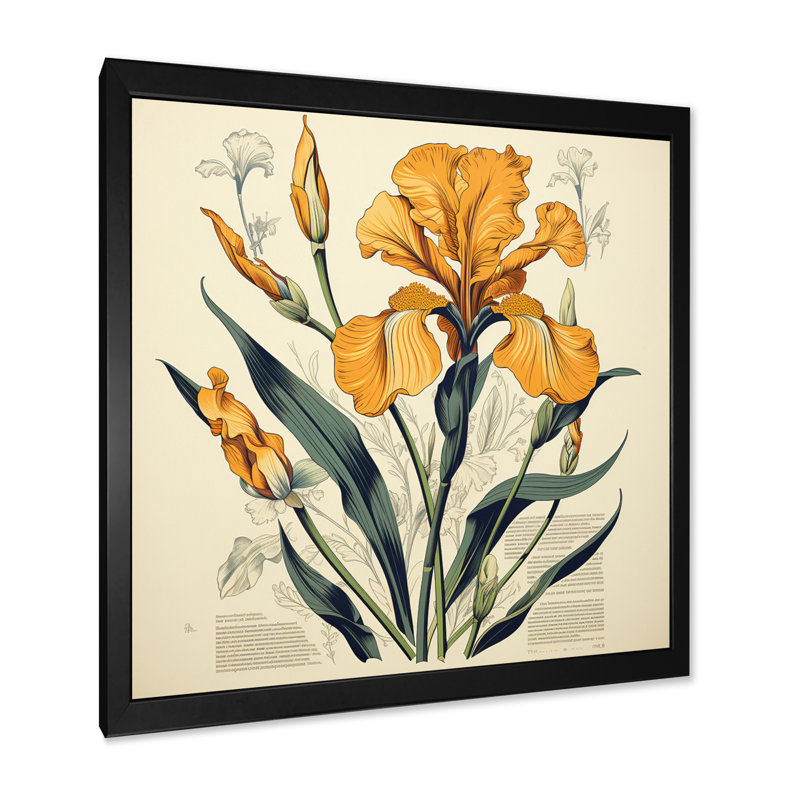 Illustration rétro d'iris dorés I sur toile, H 24 po x l 24 po x P 1 po, Cadre simple noir