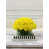 Yellow selected