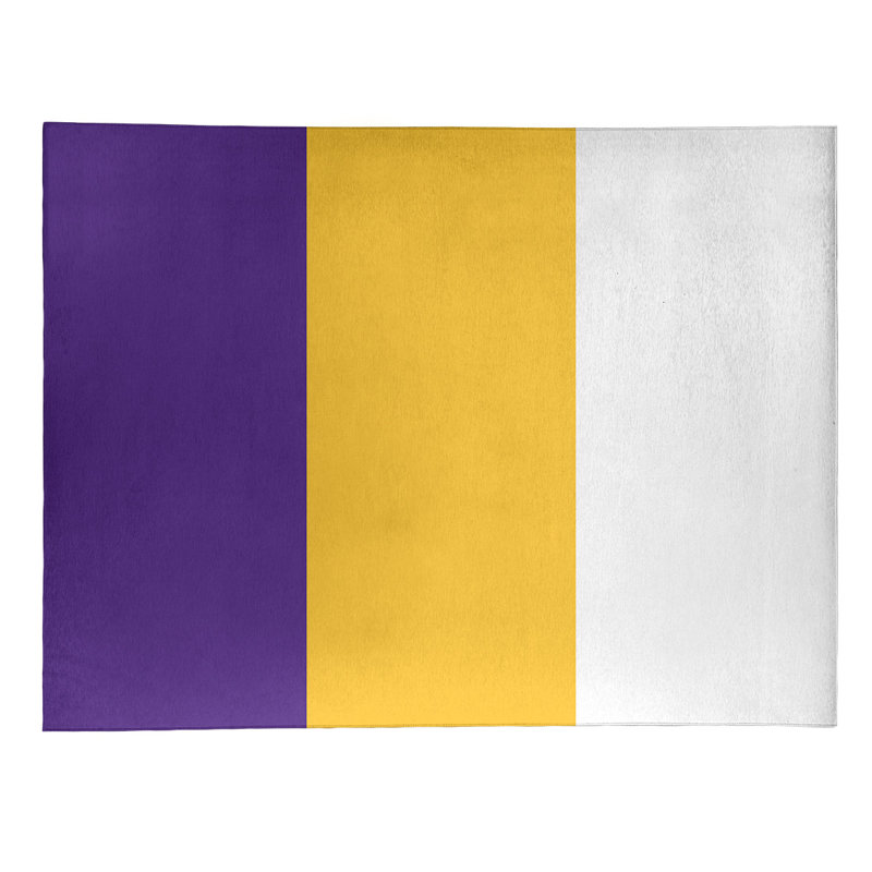 Tapis de zone en poly à rayures de football de minnesota, Rectangle 9 pi x 12 pi