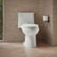 Adair 1.28 GPF Water Efficient Elongated One-Piece toilet (Seat Included)-65043899-10397007