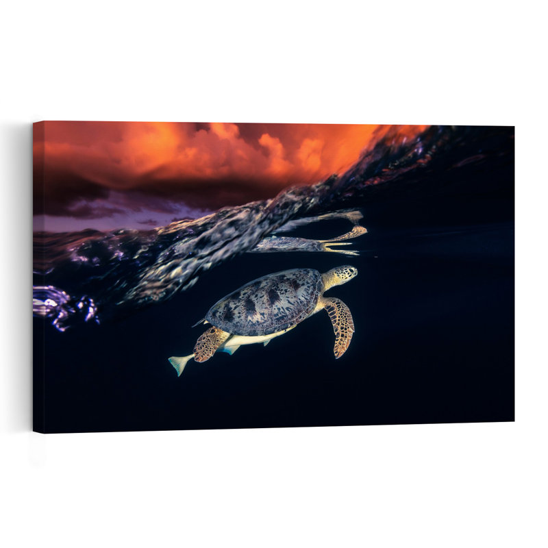 Sea Turtle Sunset Swim Peaceful Serene Tranquil Turtle Nature Ocean Wall Art Print 1 Piece Wrapped Canvas Wall Art