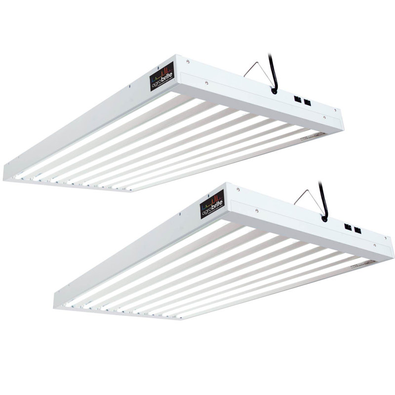 Lampe de culture hydroponique