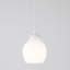 Pomelo 1 - Light Pendant