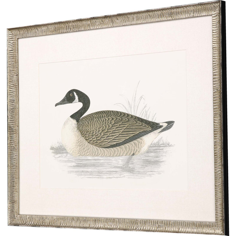 Canada Goose Silver Framed Print Wall Art