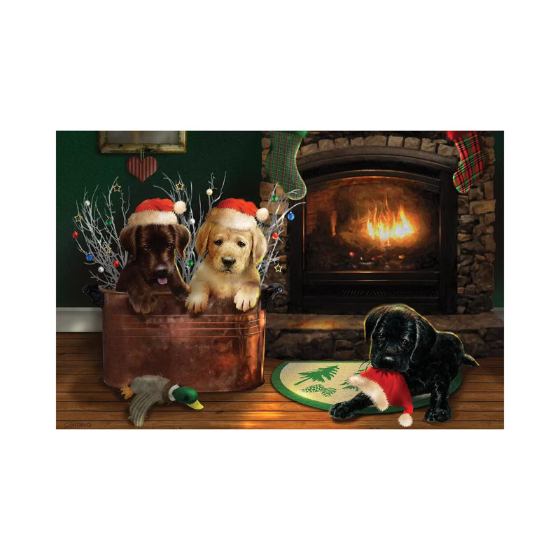 Fireside Lab Trio by Giordano Studios - Wrapped Canvas Print, 101.6 cm H x 66.04 cm W x 1.91 cm D