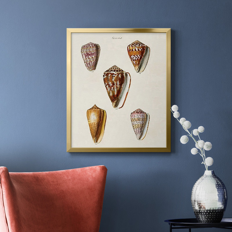 Toile encadrée de qualité supérieure Cone Shell Collection VI - prête à être accrochée, Or, H 24 po x l 20 po