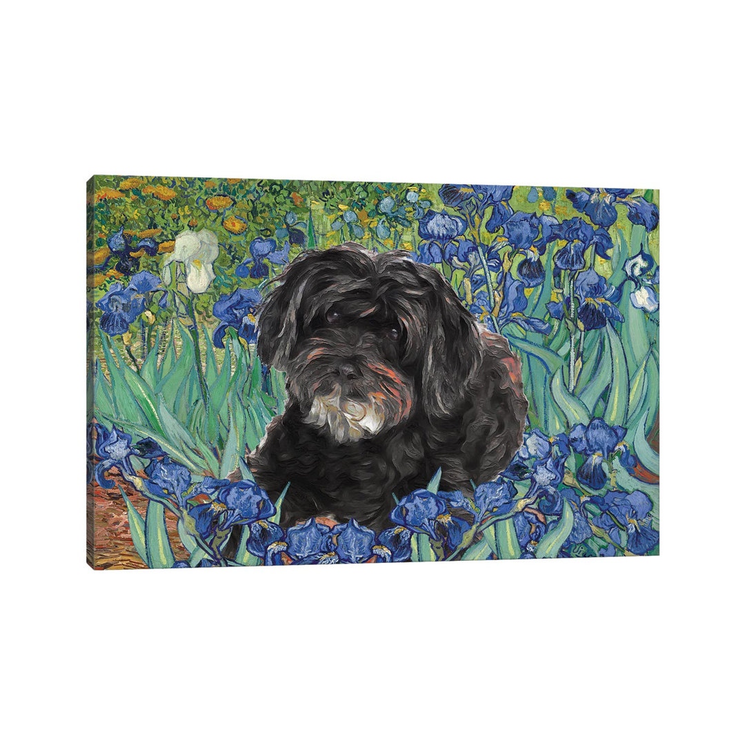 Schnoodle Irises by Nobility Dogs - Wrapped Canvas Art Prints