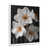 White Single Picture Framed