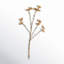Artificial Illicium Verum Spray