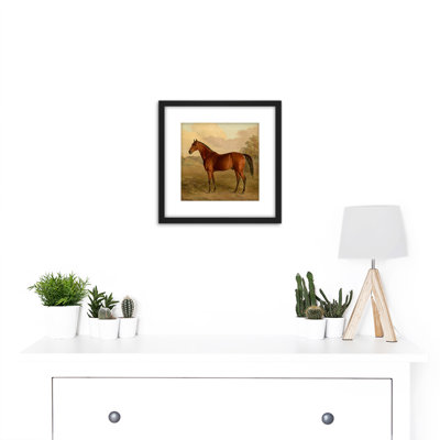 Kentucky Woodpecker 1834 Brown Horse by EdwardÂ Troye - Single Picture Frame Painting