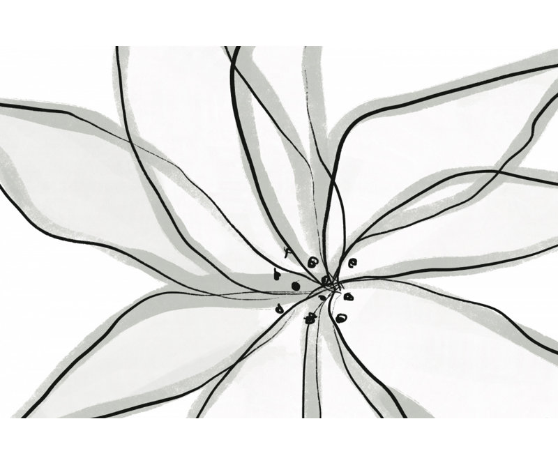 Wrapped Canvas Print, 60.96 cm H x 91.44 cm W