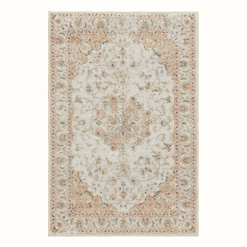 Chenille Mashine Washable Vintage Indoor Arae Rug with Non-Slip Backing for Bedroom Living Room Kitchen Entryway