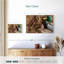 Concept de chasse au canard-227952707