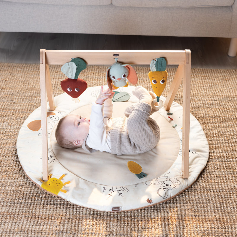 Tiny Love Luxe Developmental Gymini