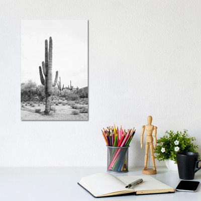 «Desert Cactus Blush» par Sissi et Seb - impression d'art graphique