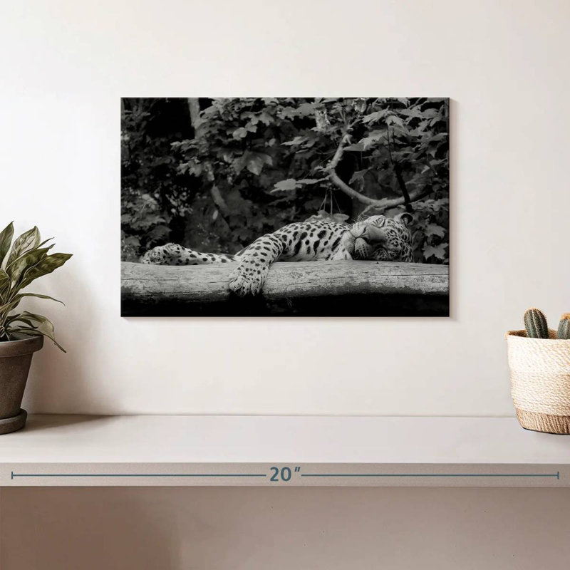 Brampt Jaguar Asleep, 8" H x 12" W