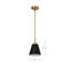 Luminaire suspendu conique à 1 lumière Gertie-1546514461