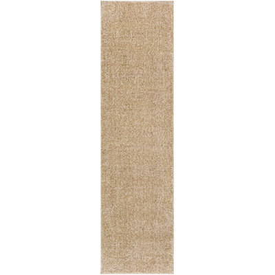 Aminna Indoor Rug