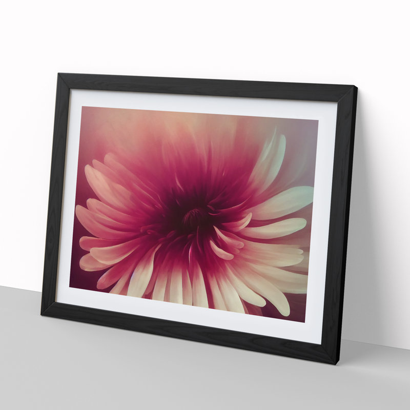 Cute Chrysanthemum Flower Vol.3 - Framed Print, Black, 46cm H x 64cm W x 2cm D