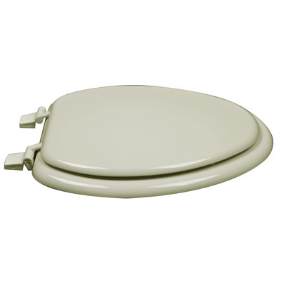 Elongated Toilet Seat and Lid
