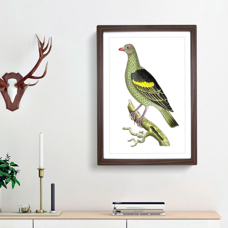 Olive-Green Pigeon by George Shaw - Framed Print, 48cm H x 36cm W x 2cm D, Walnut Framed