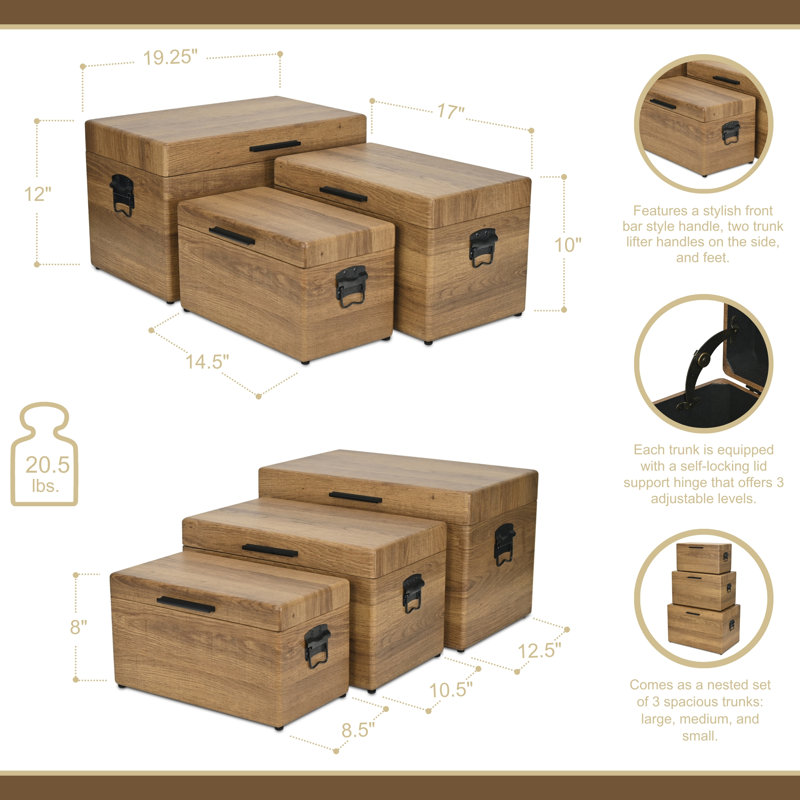 Sable Set of 3 Trunks with Gold Handles, Brown