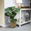 36'' Faux Fiddle Leaf Fig Plant in Wicker/Rattan Basket