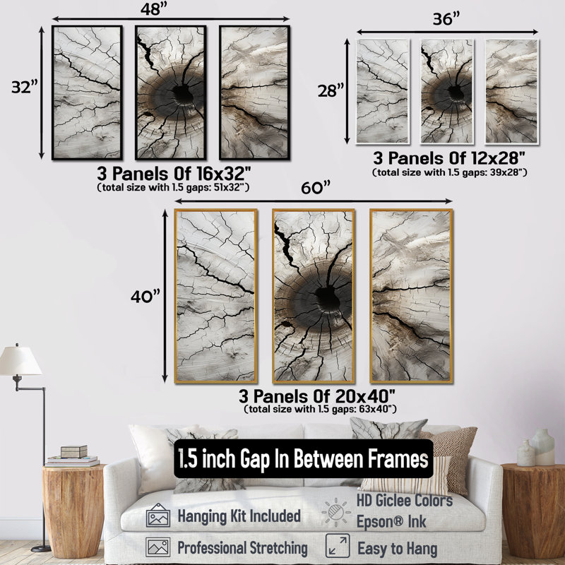 «Tree Cut Stump Beauty I - Tree Redwood», ensemble de reproduction d'art mural, Cadre flottant doré
