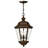 Clifton Park 3-Light Outdoor Hanging Lantern-713920864