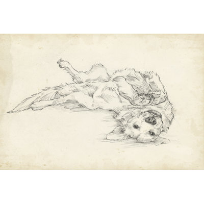 Tapasi Antique Dog Sketch I by Ethan Harper - Wrapped Canvas Print