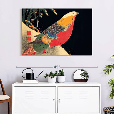 Brampt Golden Pheasant In The Snow