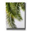 «Palm Leaves» par Lexie Greer-362754696
