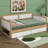 Gergina Daybed